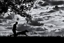 Do's and Don’ts of Running with Your Dog